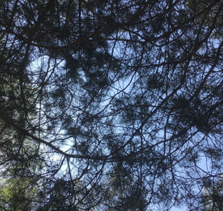 Литболталка