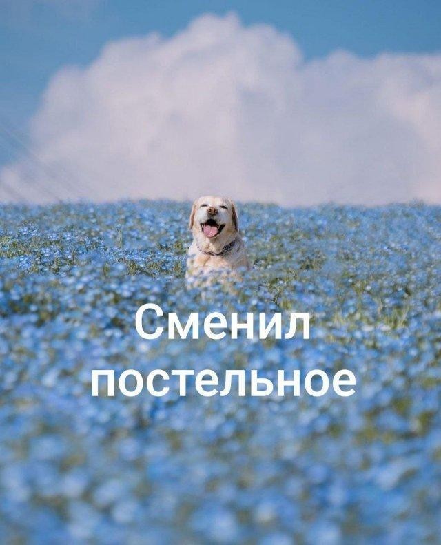 Картинки из ТГ чатов 2