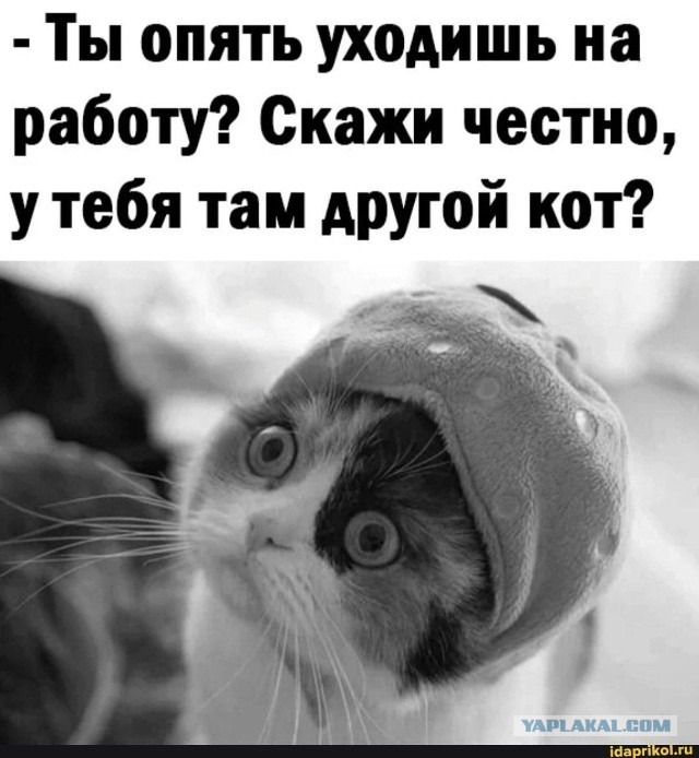 Так себе картинки 24.09.25