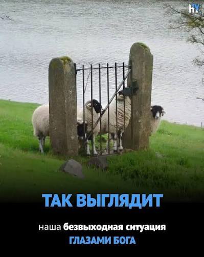 Сергей Бурунов отвечает на вопрос, который интересует всех