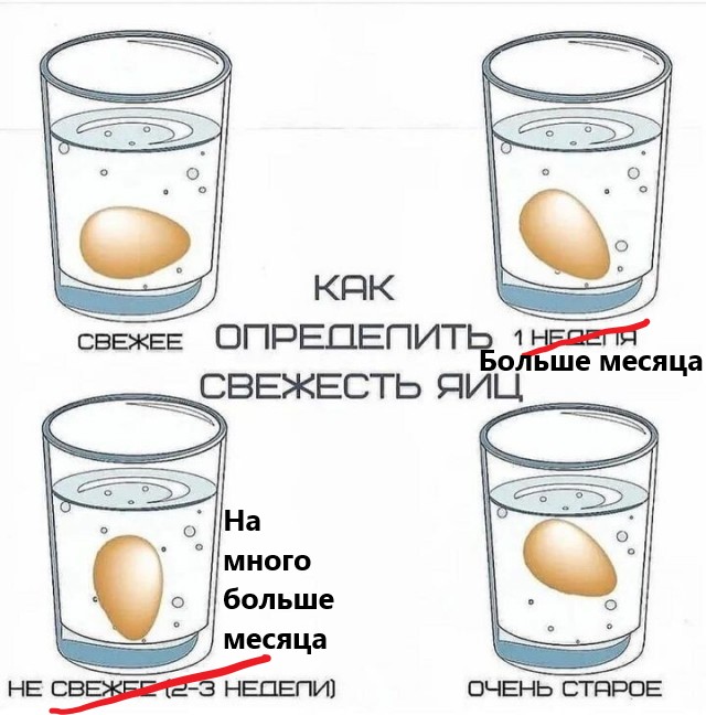 Веселое настроение в картинках (20.11.2025)
