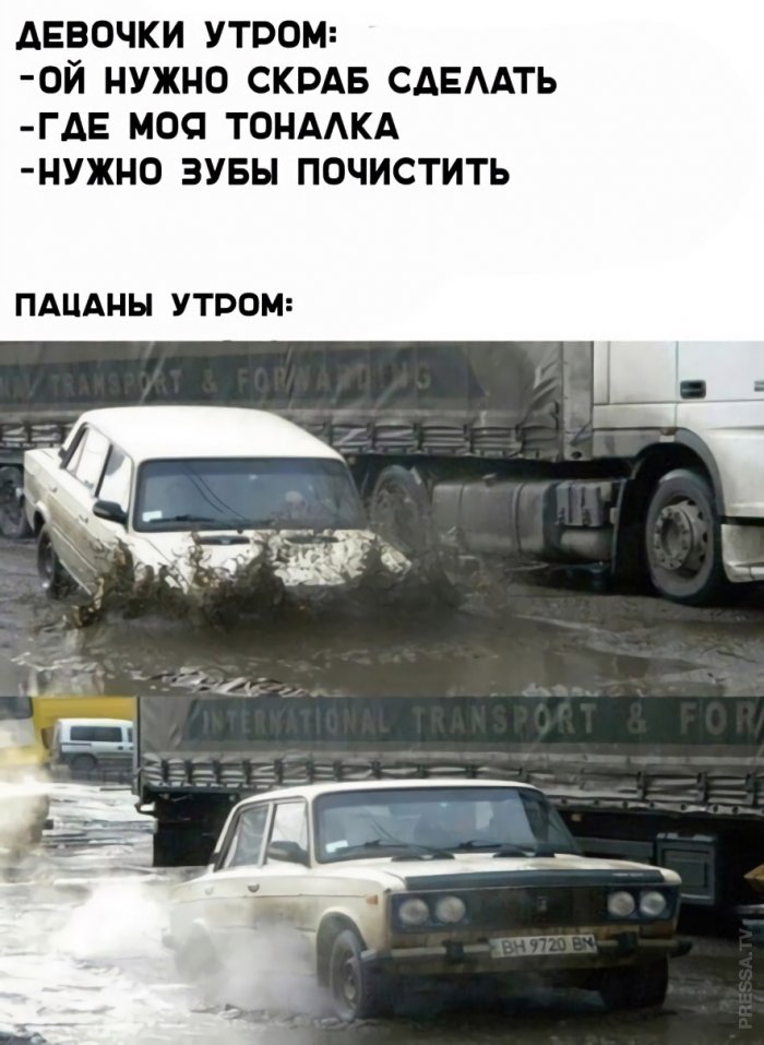 20803156.jpg