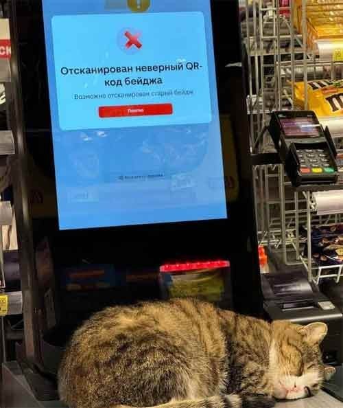 Так себе картинки 22.03.26
