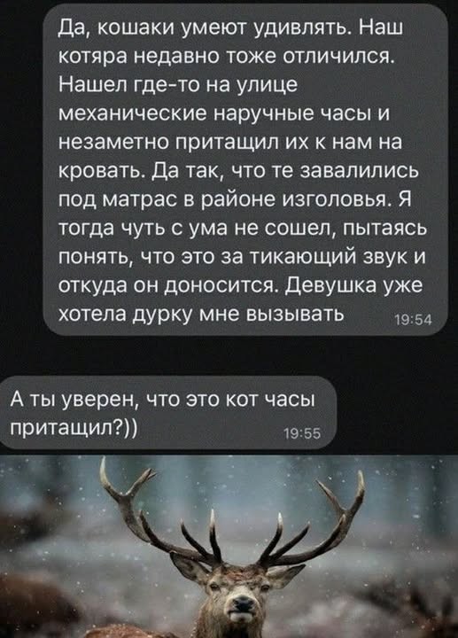 Картинки на среду