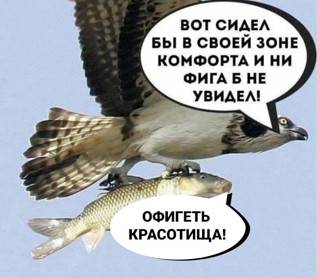 Большой куш