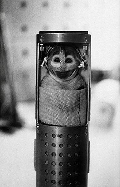 Они были первыми (9 фото)