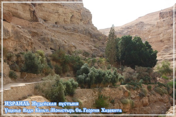 Кулинарная общалка