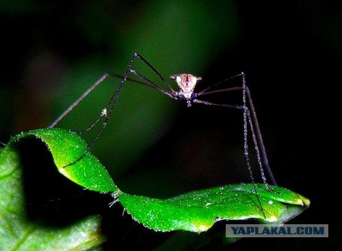 Любимые фотографии