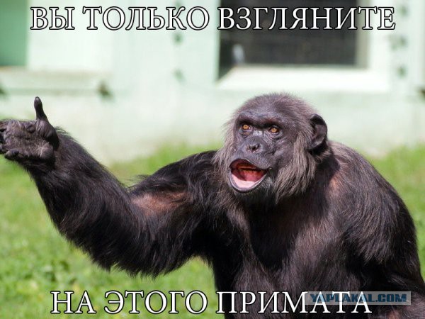 Вакансия грузчика