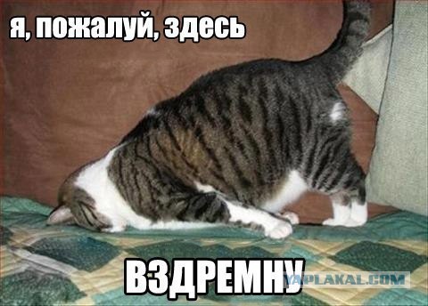 Картинки на Воскресенье, ассорти.