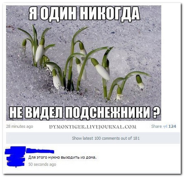 Подборка комментариев из соц.сетей!