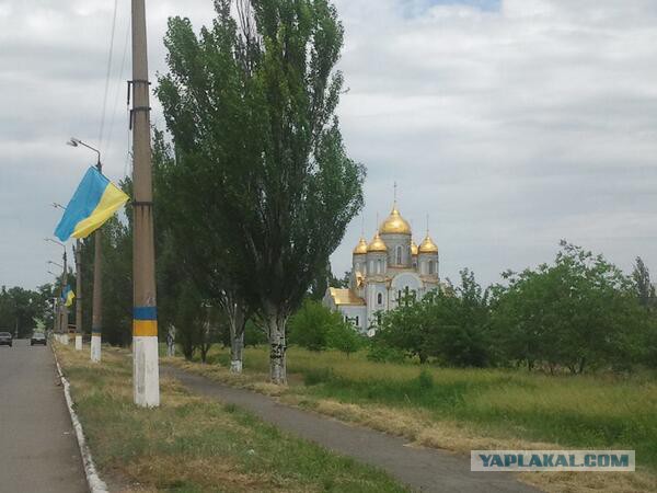 Бесславные ублюдки...