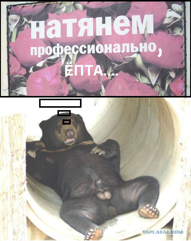 Натяни и катайся