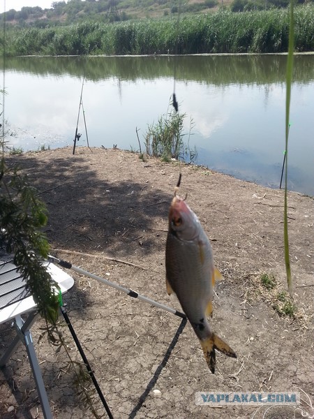 Как провести день, или сказка наяву!