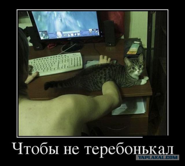 Немного позитива на пятницу.