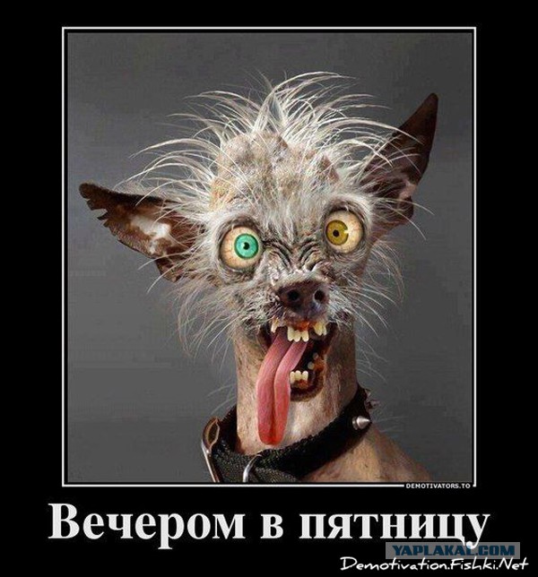 С миру по нитке. Демотиваторов чуть