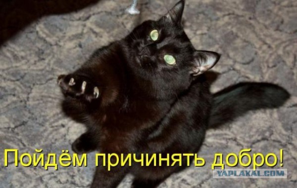 А может не права?