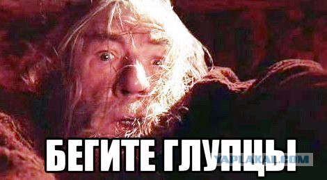 Подскажите, что это?