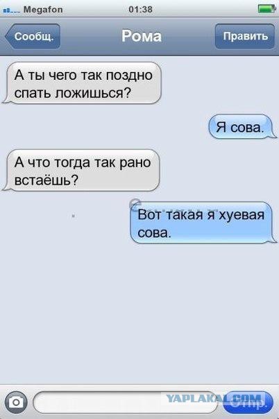 Картинки из этих ваших интернетов
