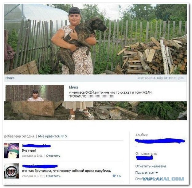 Смешные комментарии из социальных сетей