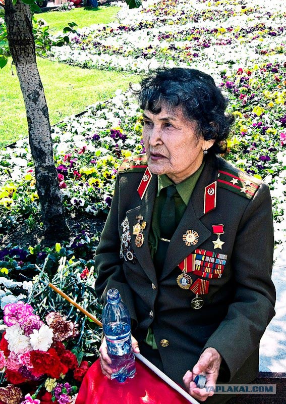Как по наградам отличить ветерана ВОВ.