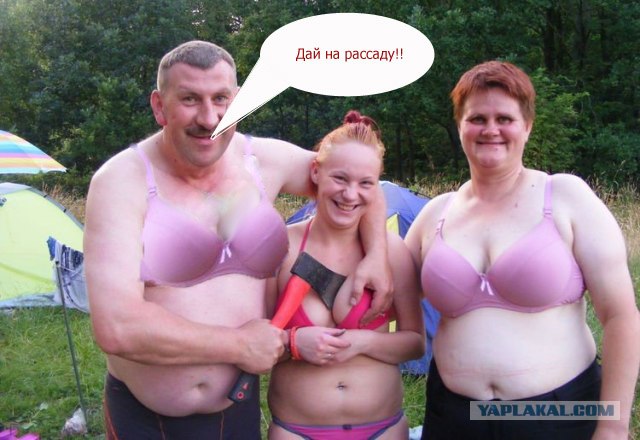 Дружная семейка