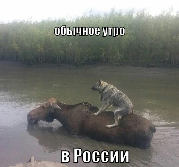 10 политических картинок часть 9