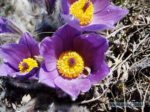 Путешествие автостопом из Донецка в Севастополь.