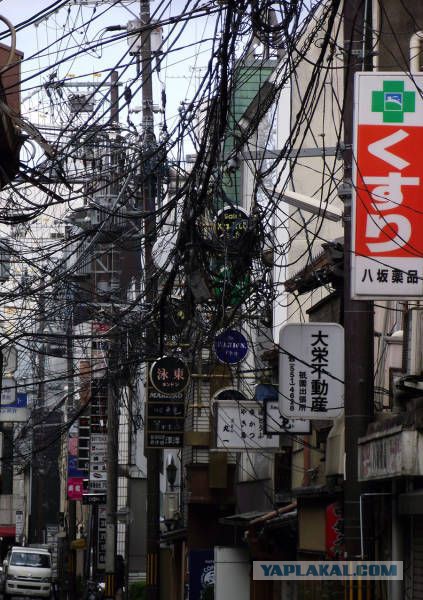 Подборка веселых картинок