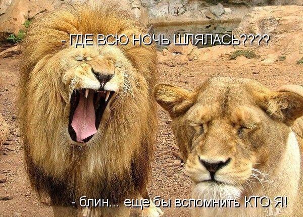 Картинки и демотиваторы