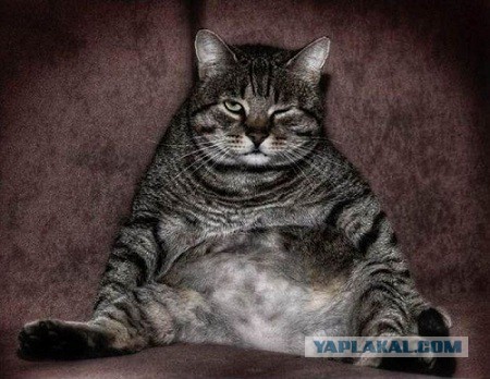 Осторожней надо быть!