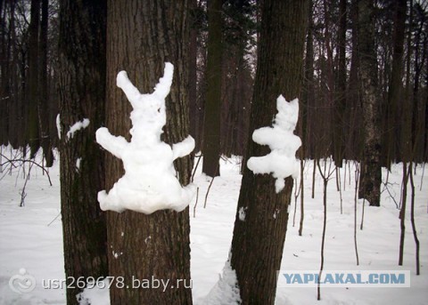 Зима близко