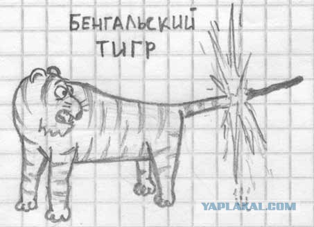 Космонавт Ахмед
