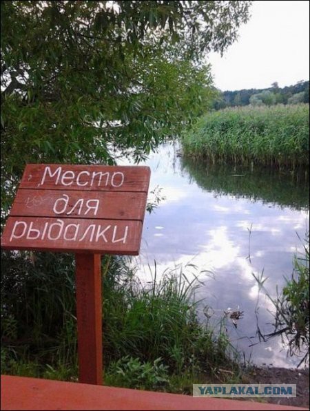 Веселые картинки