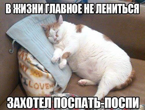 Забавные картинки из Сети