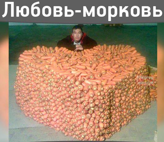 Порция позитива на вторник