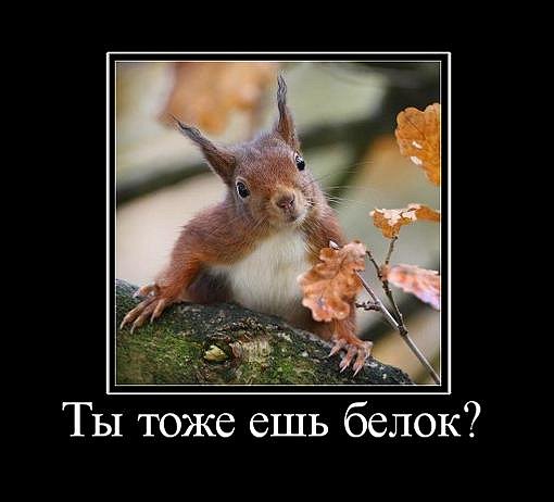 Девять высококлассных российских бодибилдеров скончались за последние полтора года