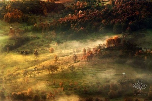 Немного картинок из этих ваших интернетов