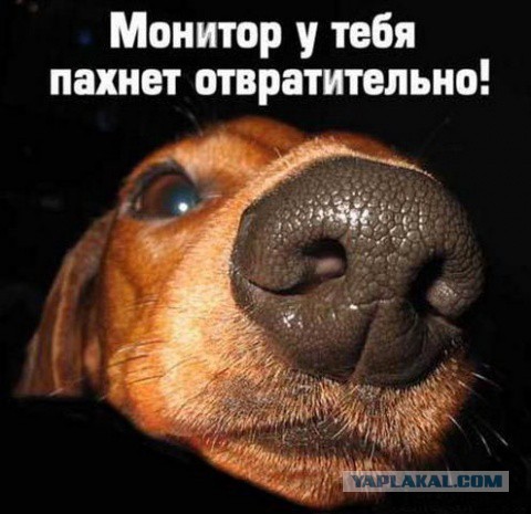 Ничего необычного, простой японский геймер