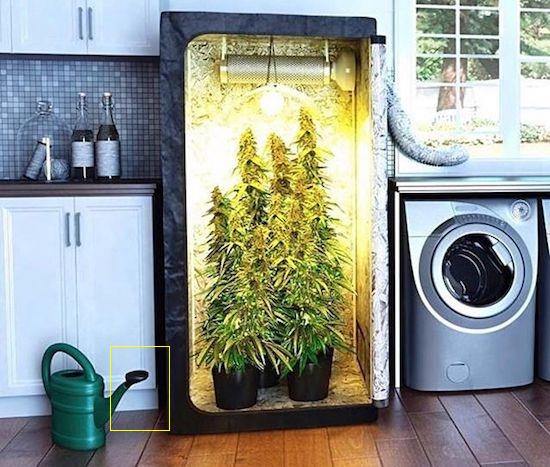 Картинки всякие разные