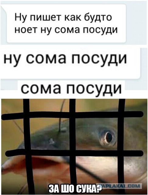 Чуть чуть нестандартного юмора в картинках