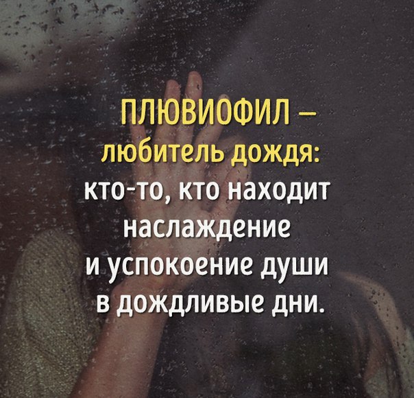 Предновогодняя распродажа