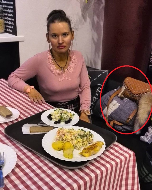 История одного айфона