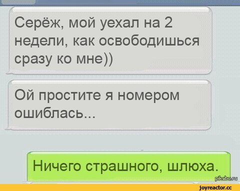 Подборка интересных и веселых картинок