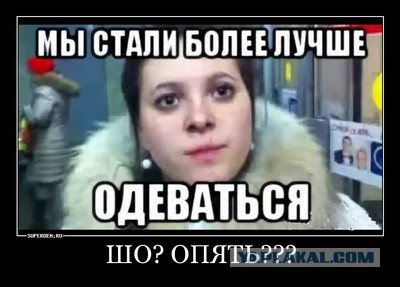 Губернатор Владимирской Области Светлана Орлова покаялась