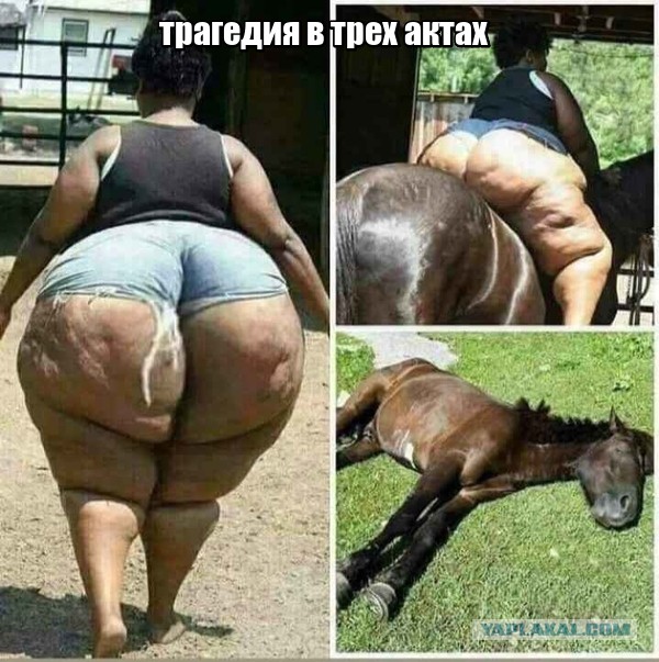 Не очень адекватный юмор