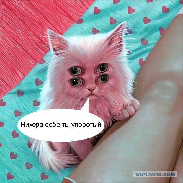 Немного картинок на вечер этой субботы