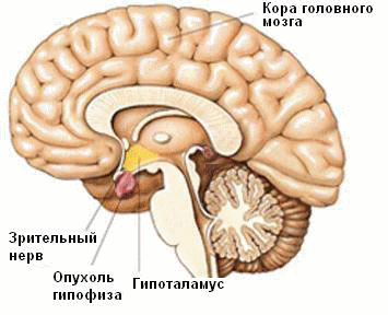 “Чтоб Вы сдохли, доктор!”: врач – об истории одного осмотра