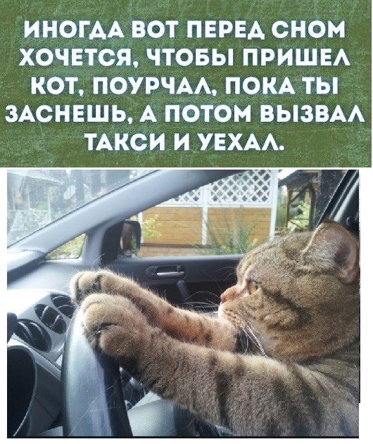 Анекдоты, истории и картинки с надписями