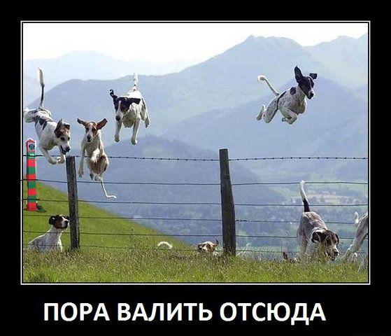 Выборы на Украине, разлет